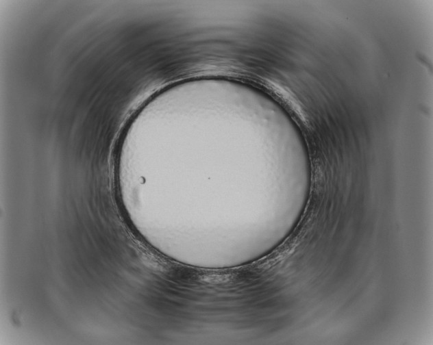 X0000097981419200804141107