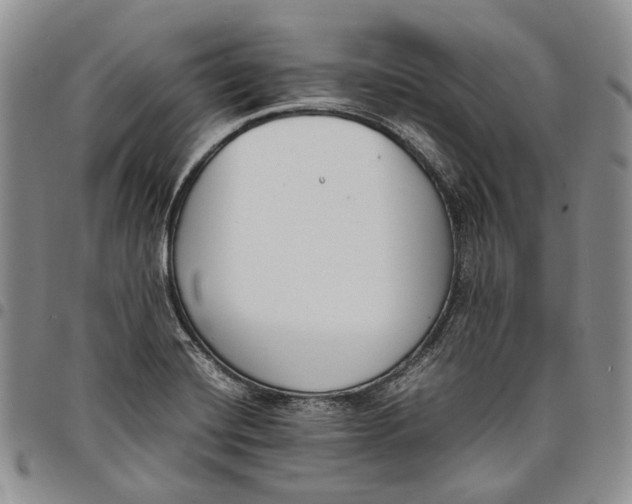 X0000097981420200804141107