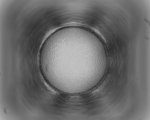 X0000097981421200804141107