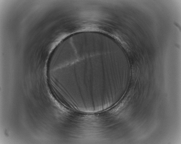 X0000097981422200804141107