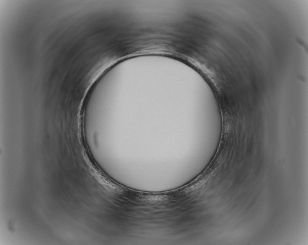 X0000097981423200804141107