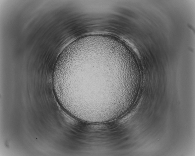 X0000097981425200804141107