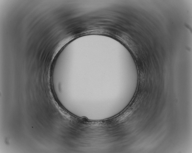 X0000097981426200804141107