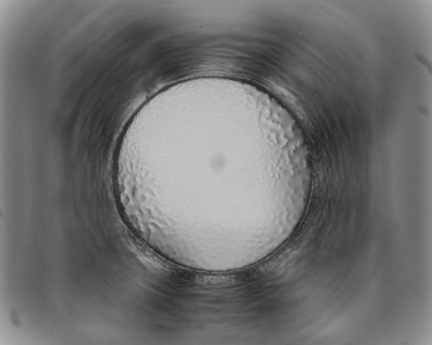 X0000097981427200804141107