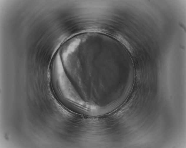 X0000097981428200804141107