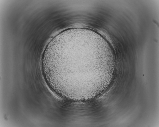 X0000097981429200804141107