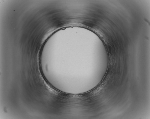 X0000097981430200804141107