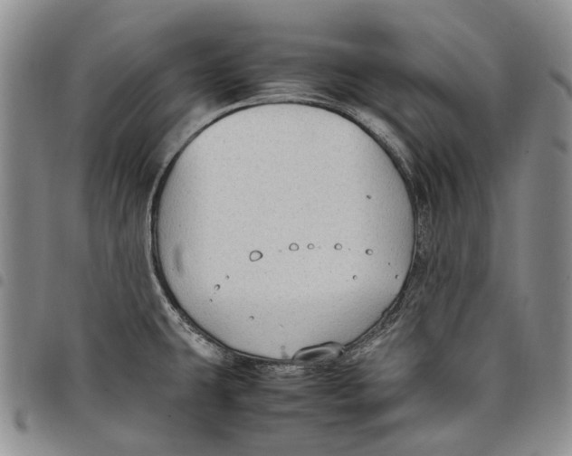 X0000097981431200804141107