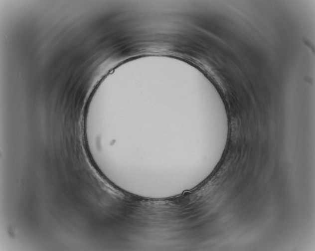 X0000097981432200804141107