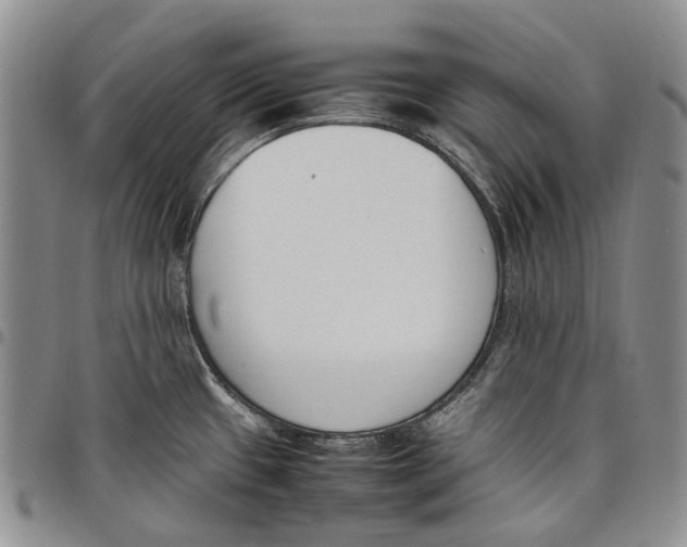 X0000097981433200804141107