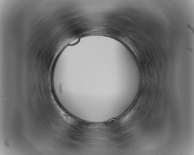 X0000097981434200804141107