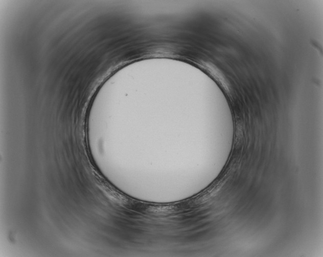 X0000097981435200804141107