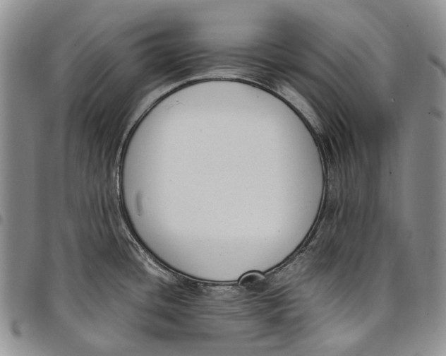 X0000097981436200804141107