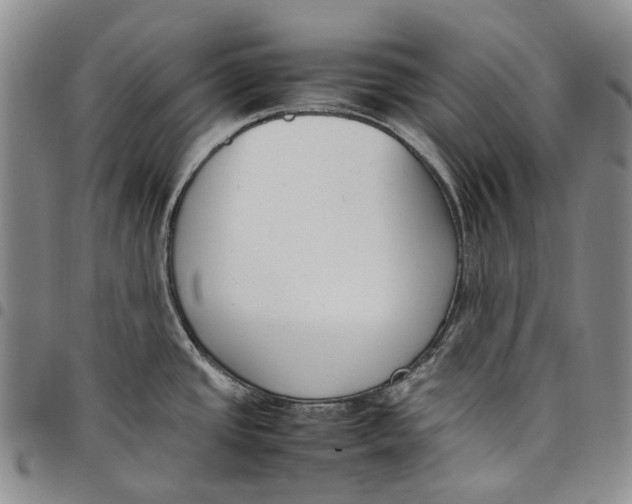 X0000097981437200804141107