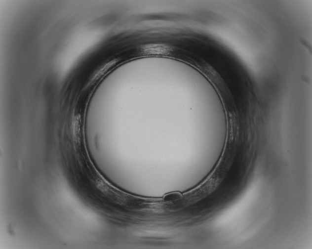 X0000097981438200804141107