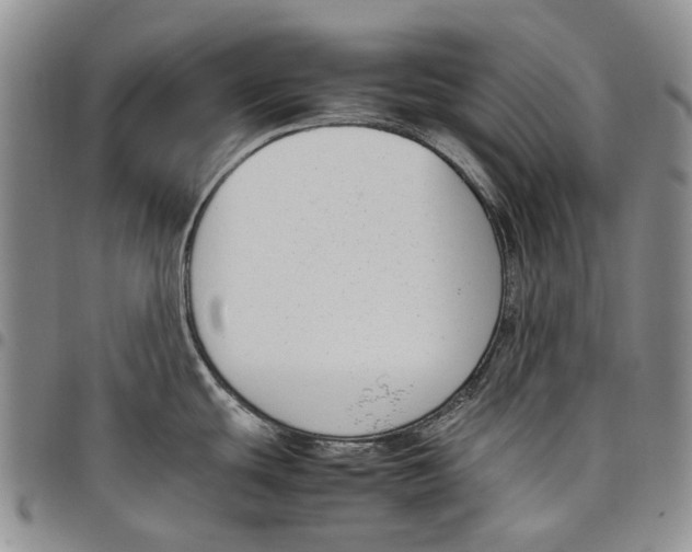 X0000097981439200804141107