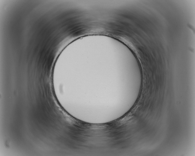 X0000097981440200804141107