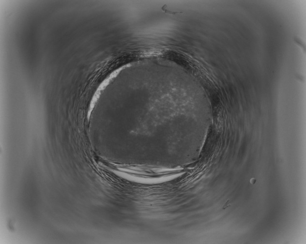 X0000097981441200804141106