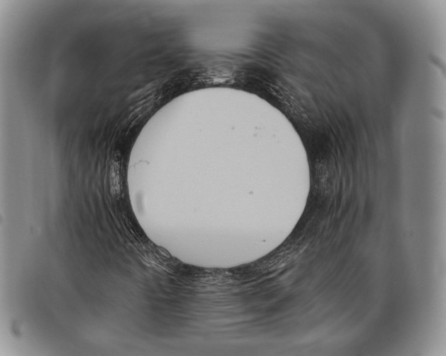 X0000097981442200804141106