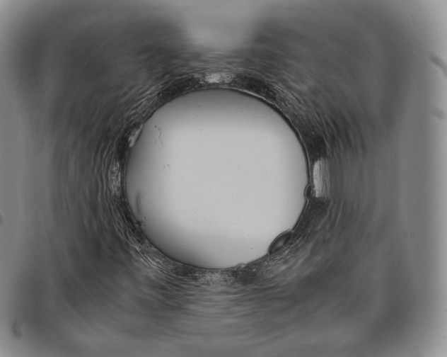 X0000097981443200804141106