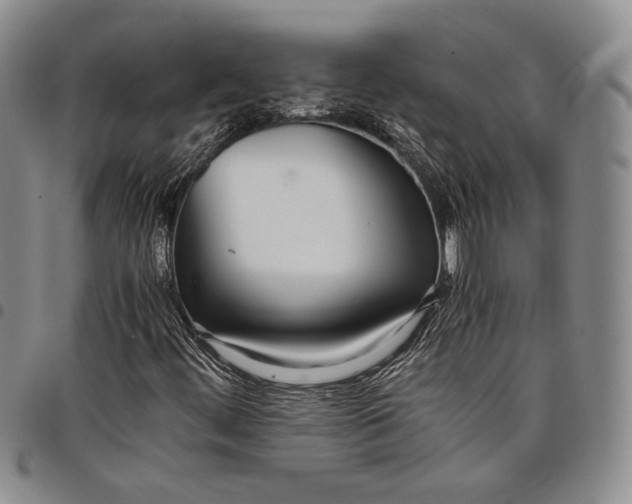 X0000097981444200804141106