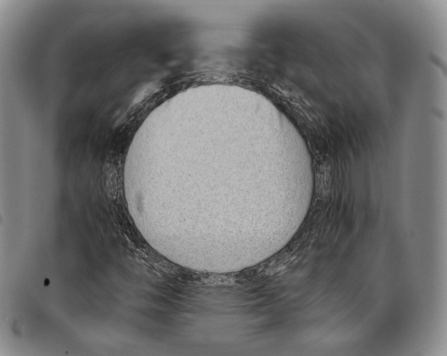 X0000097981446200804141106