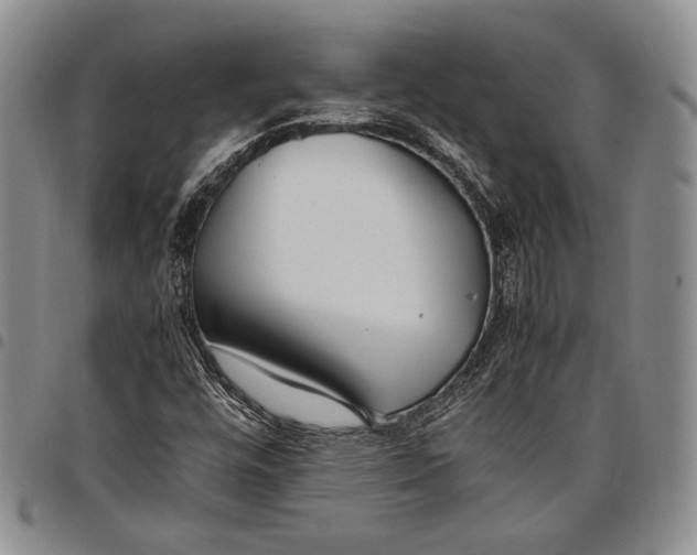 X0000097981448200804141106