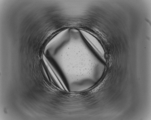 X0000097981449200804141106