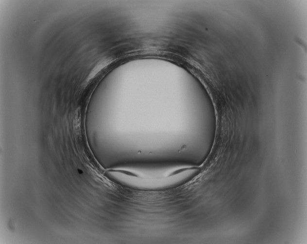 X0000097981450200804141106