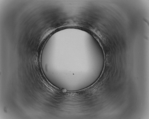 X0000097981452200804141106