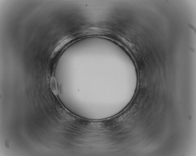 X0000097981453200804141106