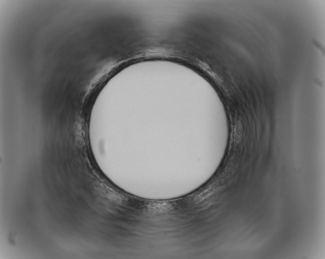 X0000097981454200804141106