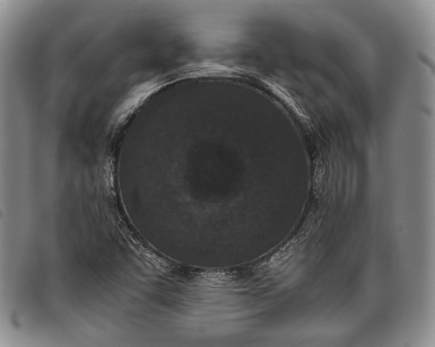 X0000097981455200804141106