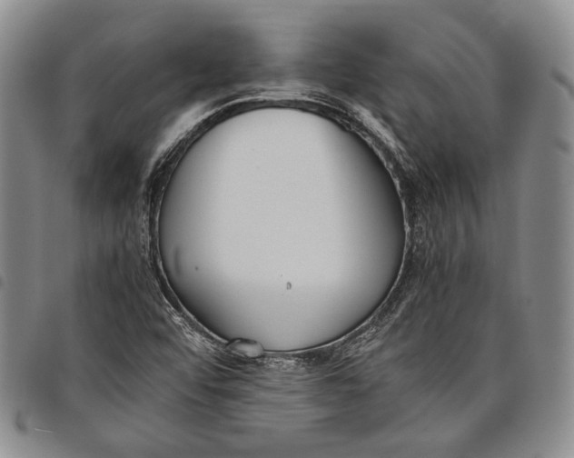 X0000097981456200804141106