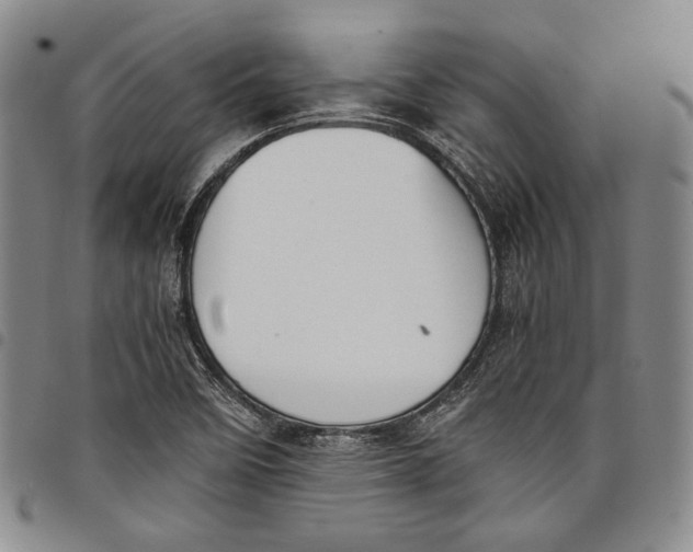 X0000097981458200804141106