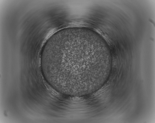 X0000097981459200804141106