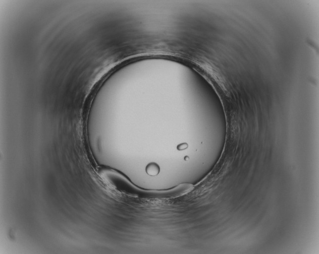 X0000097981460200804141106