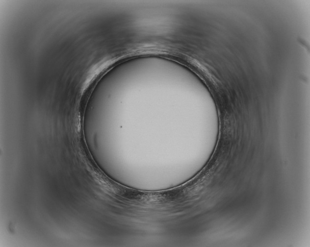 X0000097981461200804141106