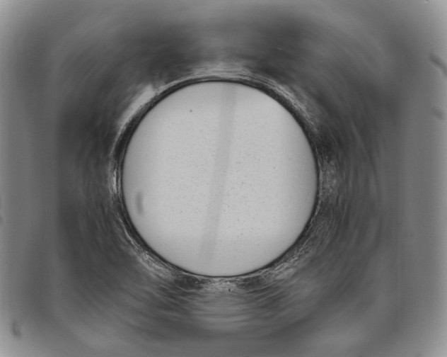 X0000097981462200804141106