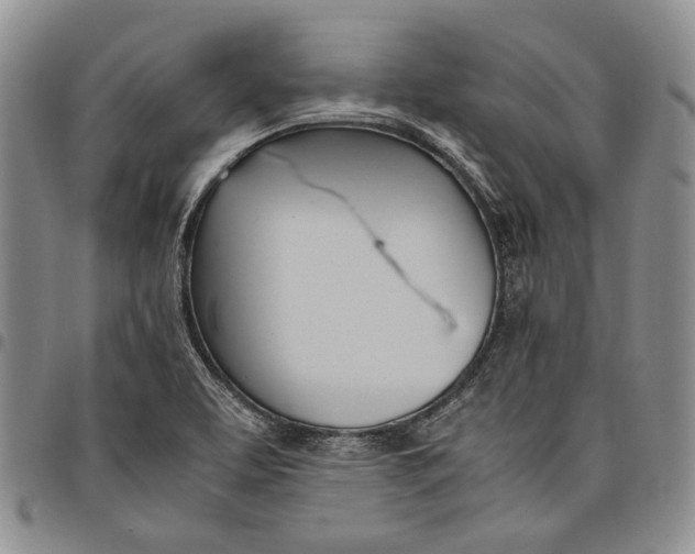 X0000097981463200804141106