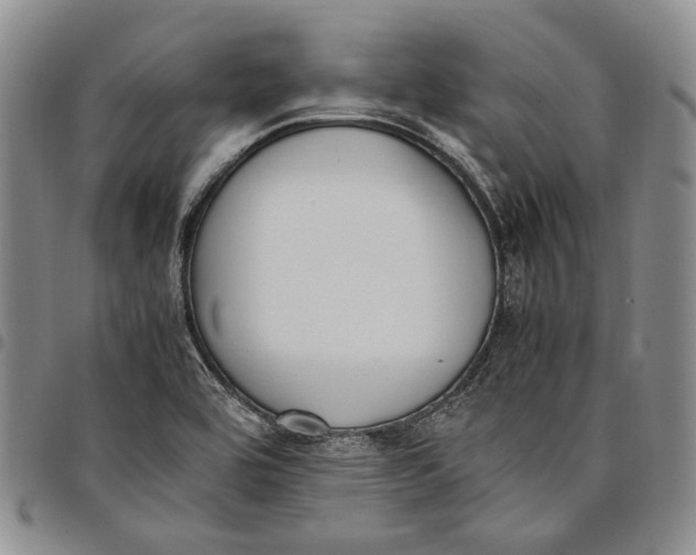 X0000097981464200804141106