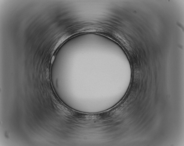 X0000097981465200804141106