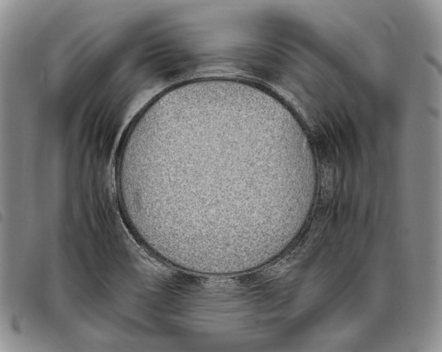 X0000097981466200804141106