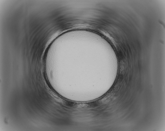 X0000097981467200804141106