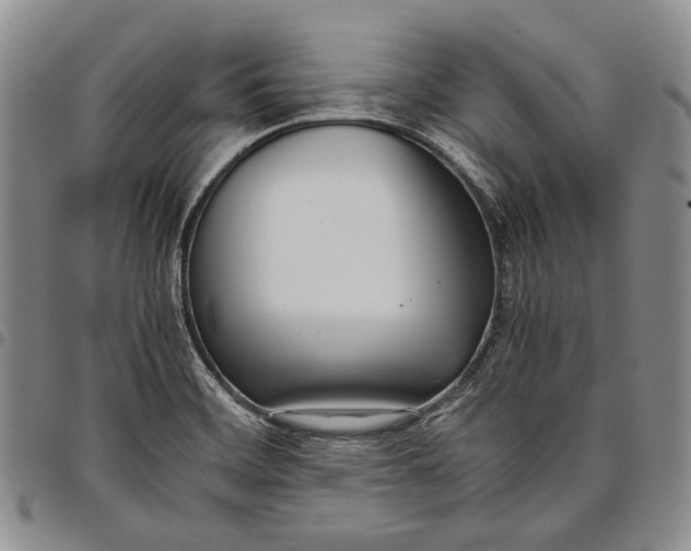 X0000097981468200804141106