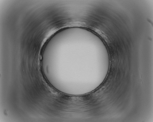 X0000097981469200804141106