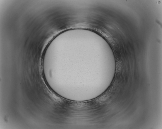 X0000097981470200804141106