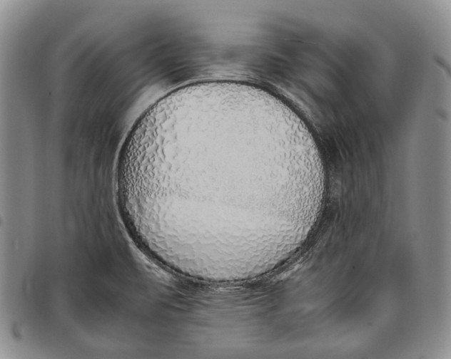 X0000097981471200804141106