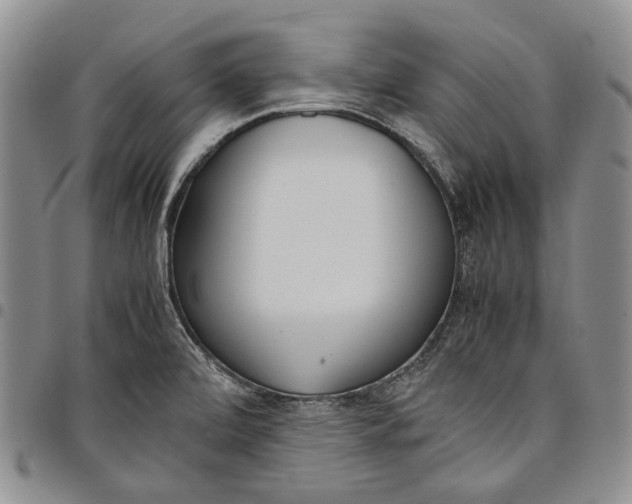 X0000097981472200804141106