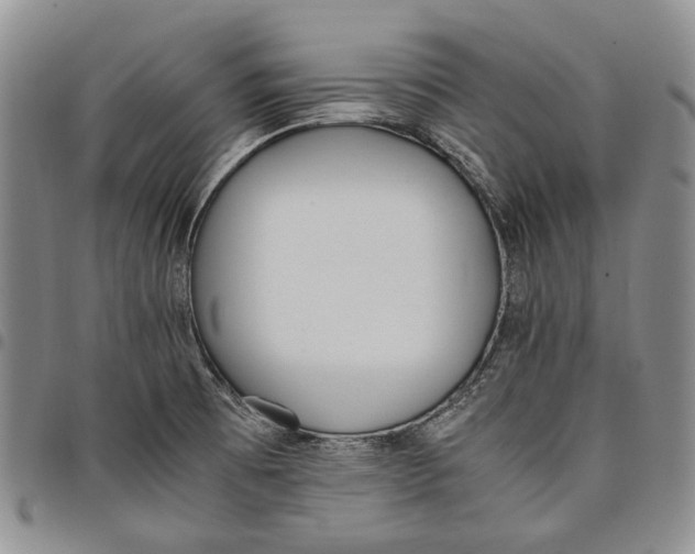 X0000097981473200804141106